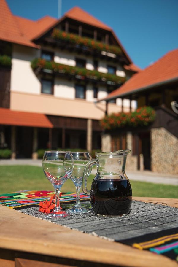 Villa Gherman Sălciua de Jos 외부 사진